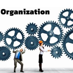 طراحی ساختار سازمانی انعطاف‌پذیر: از اصول تا اجرا